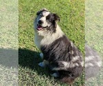 Small #4 Breeder Profile image