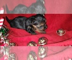 Small #359 Breeder Profile image