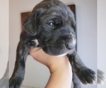 Small Photo #22  Breeder Profile in MONTEVIEW, ID, USA