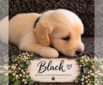 Small #10 Breeder Profile image