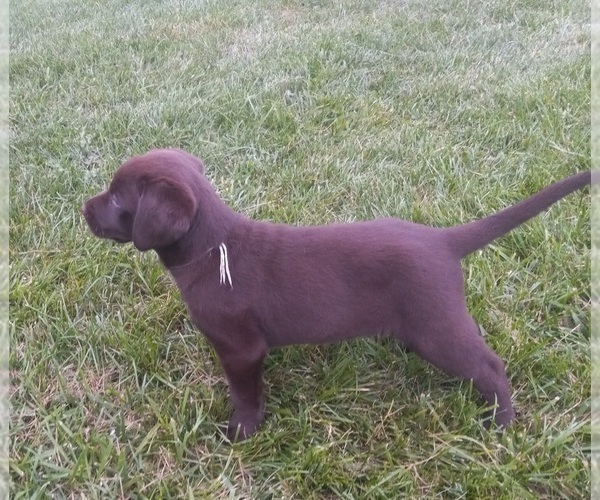 Medium Photo #3  Breeder Profile in JEFFERSONTOWN, KY, USA
