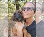 Small Photo #14  Breeder Profile in ALBA, TX, USA