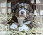 Small #35 Breeder Profile image