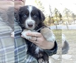 Small #26 Breeder Profile image