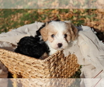 Small #9 Breeder Profile image