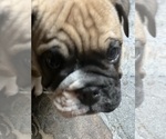Small #2 Breeder Profile image