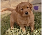 Small #4 Breeder Profile image