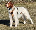 Small #5 Breeder Profile image