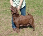 Small #11 Breeder Profile image
