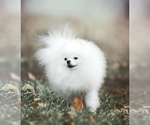 Small #12 Breeder Profile image