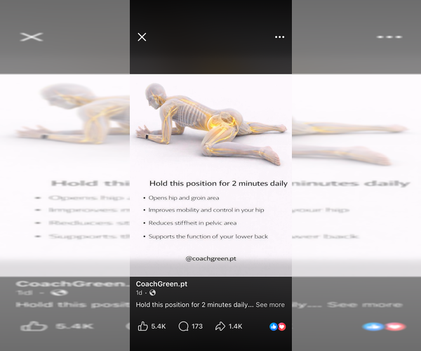 Medium Photo #16  Breeder Profile in GROVE CITY, MN, USA