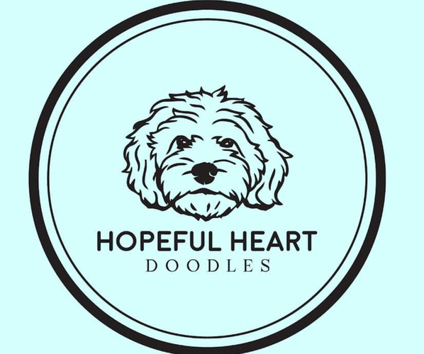 Medium Photo #2  Breeder Profile in CHARLOTTE, NC, USA