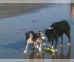 Small #28 Breeder Profile image