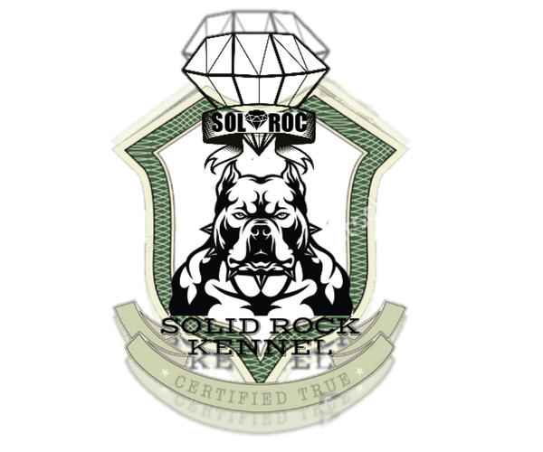 Medium Photo #1  Breeder Profile in JOHNSTOWN, PA, USA