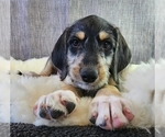 Small #4 Breeder Profile image