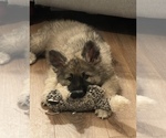 Small #7 Breeder Profile image