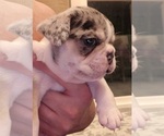 Small #40 Breeder Profile image
