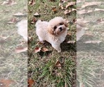 Small #8 Breeder Profile image
