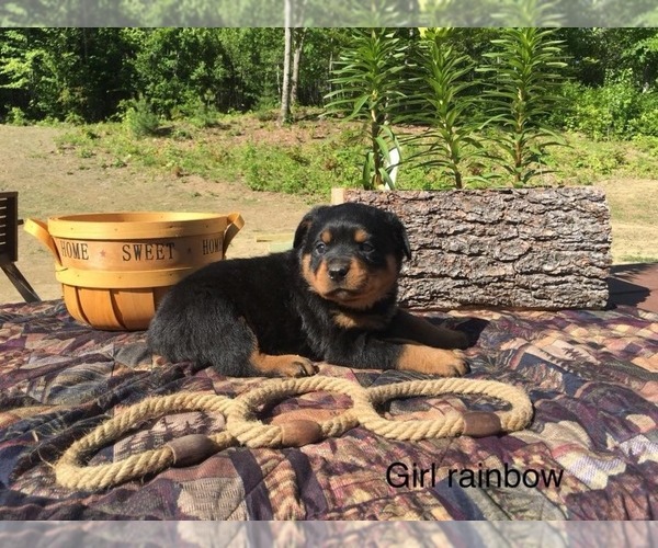 Medium Photo #1  Breeder Profile in WINDSOR, ME, USA