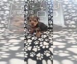 Small #268 Breeder Profile image
