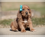 Small #3 Breeder Profile image