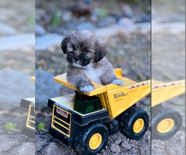 Medium Photo #1  Breeder Profile in BOERNE, TX, USA