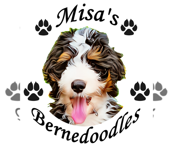 Medium Photo #1  Breeder Profile in FALL CREEK, WI, USA
