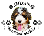 Small breeder photo