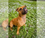 Small #5 Breeder Profile image