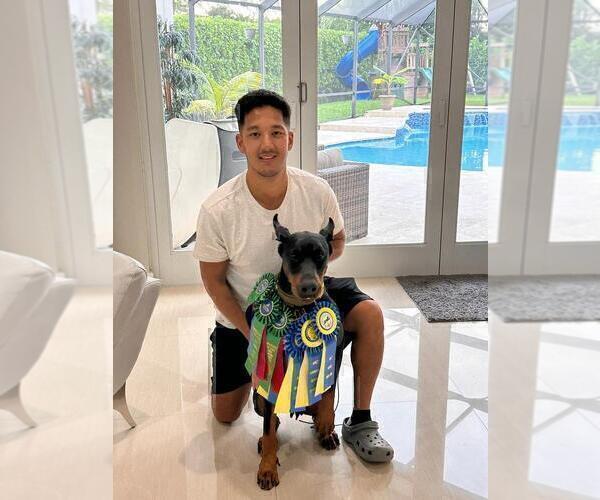 Medium Photo #7  Breeder Profile in FORT LAUDERDALE, FL, USA