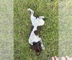 Small #12 Breeder Profile image