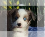 Small #4 Breeder Profile image