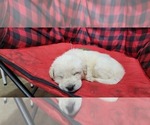 Small #4 Breeder Profile image