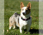 Small #8 Breeder Profile image