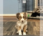 Small #6 Breeder Profile image