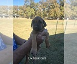 Small #37 Breeder Profile image