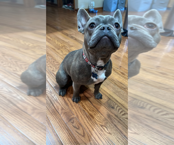 Medium Photo #3  Breeder Profile in BRUNSWICK, MO, USA