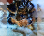 Small #21 Breeder Profile image