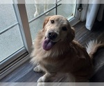 Small #7 Breeder Profile image