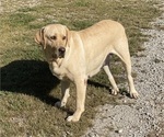 Small #1 Breeder Profile image