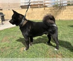Small #9 Breeder Profile image