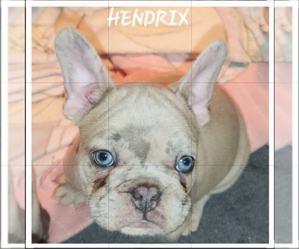 Medium Photo #12  Breeder Profile in BAKER CITY, OR, USA