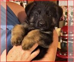 Small #7 Breeder Profile image