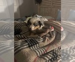 Small #3 Breeder Profile image