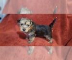 Small #309 Breeder Profile image