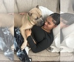 Small #3 Breeder Profile image