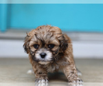 Small #6 Breeder Profile image