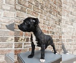 Small #13 Breeder Profile image