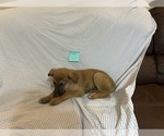 Small #1 Breeder Profile image