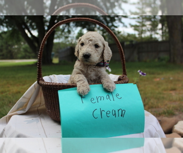 Medium Photo #1  Breeder Profile in NORFOLK, NE, USA